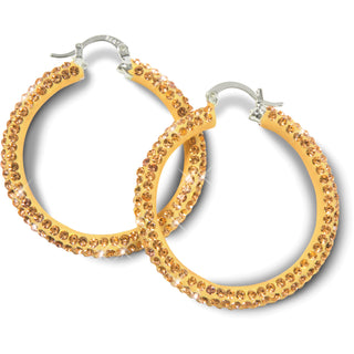 Light Blue Crystal Crystal Hoop Earrings
