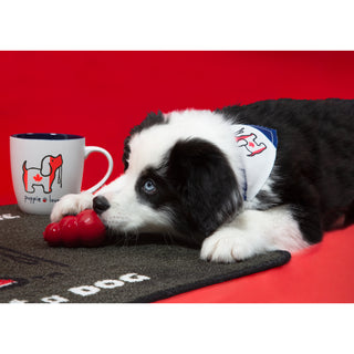Canada 17 oz Cup
