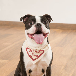 Super Dog 7" x 5" Canvas Slip on Pet Bandana