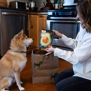 Avocado 6.5" Canvas Dog Toy