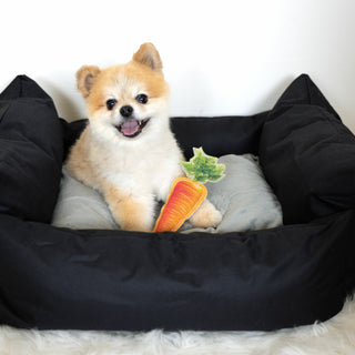Carrot 8" Canvas Dog
