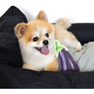 Eggplant 7.5" Canvas Dog