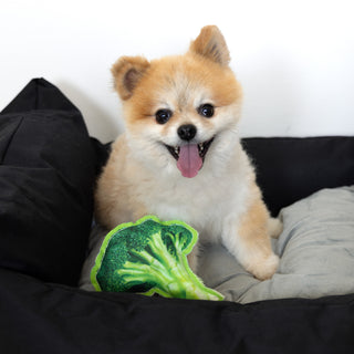 Broccoli 6.25" Canvas Dog