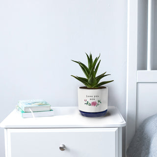 Mom 4.25" Planter (Holds 4" Planter Pot)