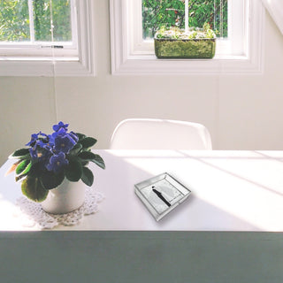 To Have and To Hold 4" Glass Keepsake Box