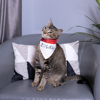 It's My Birthday 7" x 5" Canvas Slip on Pet Bandana