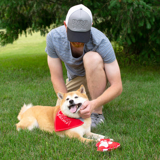 Best Dog Ever 7" x 5" Canvas Slip on Pet Bandana