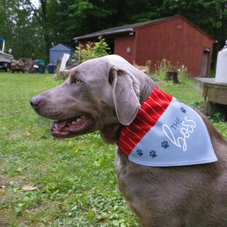 The Boss 7" x 5" Canvas Slip on Pet Bandana