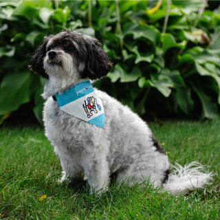 Lake 7" x 5" Canvas Slip on Pet Bandana