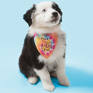 Tie Dye 12" x 8" Canvas Slip on Pet Bandana