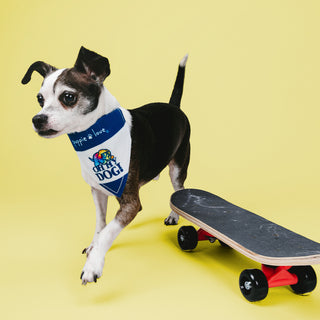 Oh My Dog! 7" x 5" Canvas Slip on Pet Bandana
