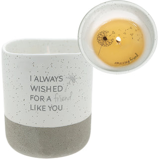 Friend Like You 10 oz - 100% Soy Wax Reveal Candle Scent: Tranquility