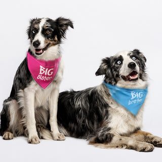Big Brother 12" x 8" Canvas Slip on Pet Bandana
