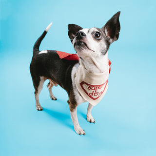 Super Dog 7" x 5" Canvas Slip on Pet Bandana
