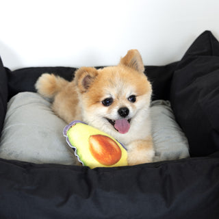 Avocado 6.5" Canvas Dog