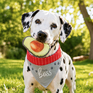 Avocado 6.5" Canvas Dog Toy