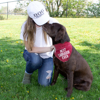 Best Labrador 12" x 8" Canvas Slip on Pet Bandana