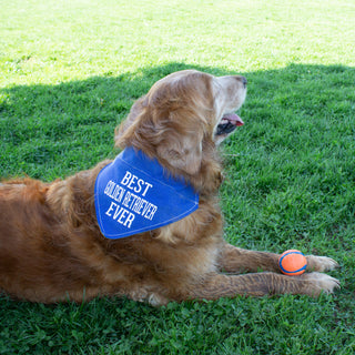 Best Golden Retriever 12" x 8" Canvas Slip on Pet Bandana