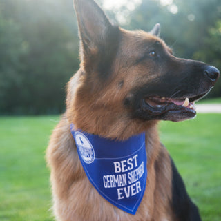 Best German Shepherd 12" x 8" Canvas Slip on Pet Bandana