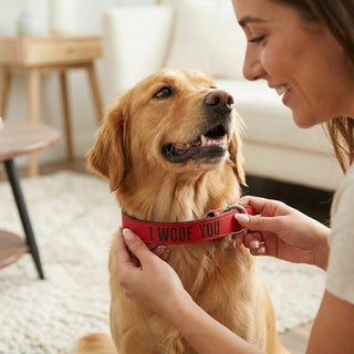 S/M Woof 16" PU Leather Pet Collar
