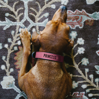 M/L Princess 21" PU Leather Pet Collar