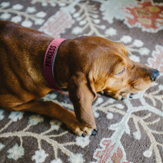 M/L Princess 21" PU Leather Pet Collar