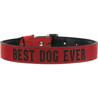 L/XL Best Dog 30" PU Leather Pet Collar