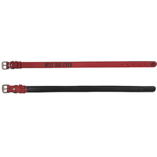 L/XL Best Dog 30" PU Leather Pet Collar