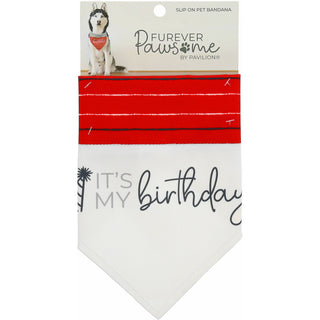 It's My Birthday 7" x 5" Canvas Slip on Pet Bandana