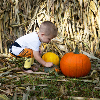 Trick or Treat 6-12 Months Baby Leggings